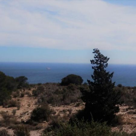 Apartament Modern Flat At Garbinet With Wifi Alicante Zewnętrze zdjęcie