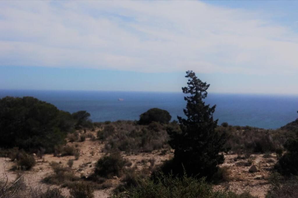 Apartament Modern Flat At Garbinet With Wifi Alicante Zewnętrze zdjęcie